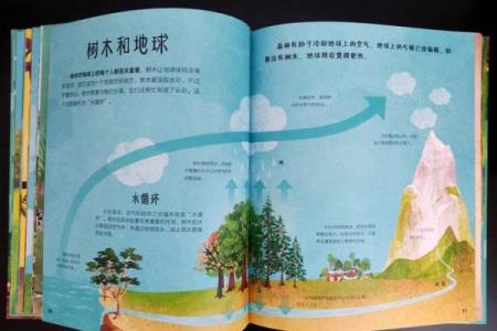 探索大自然的奥秘：常见树木的名字与特点