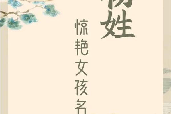 如何为杨姓宝宝取个独特又有寓意的名字