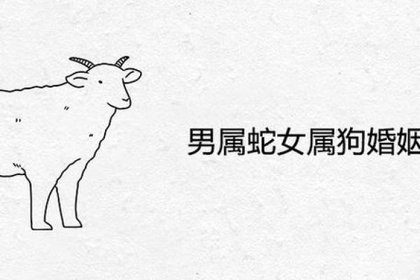 男属蛇女属狗婚配的优缺点分析
