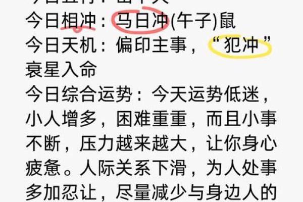 本命年属猪如何应对事业低谷