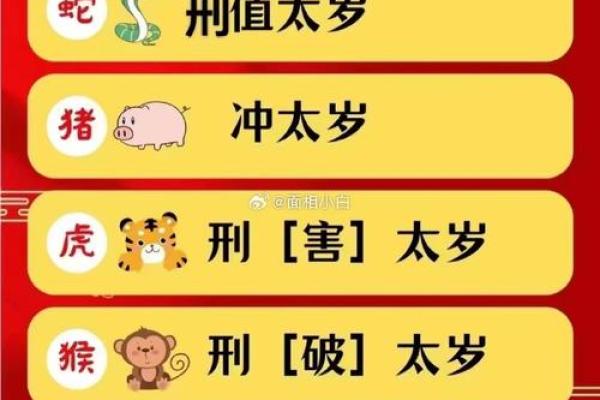 本命年属猪如何应对事业低谷