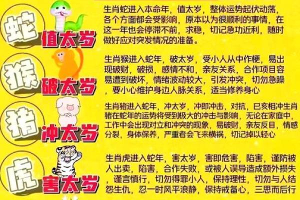 羊龙配对是否合适？探索生肖组合的秘密与缘分
