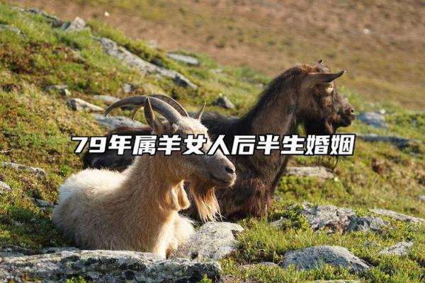 鼠羊配婚姻是否幸福的关键因素