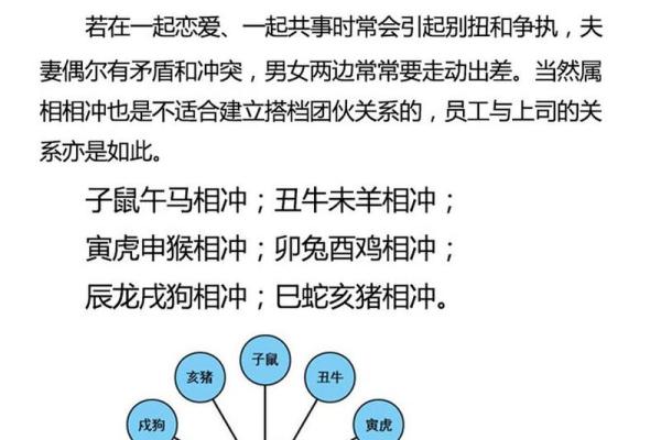 生肖女兔与男蛇配对优劣对比