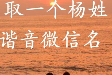 如何为杨姓宝宝取个独特又有寓意的名字