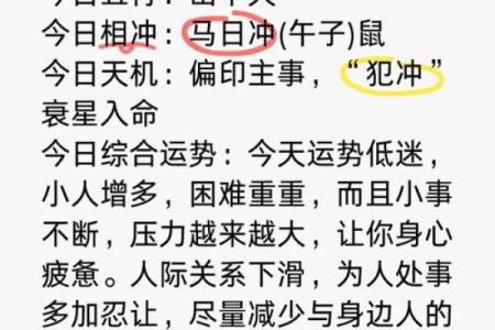 本命年属猪如何应对事业低谷
