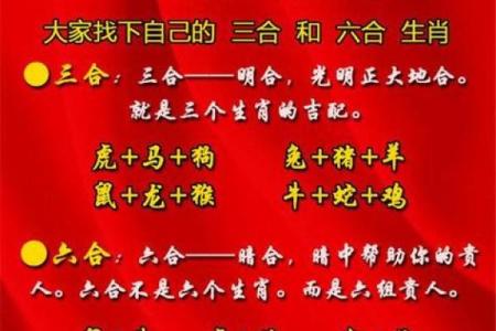 鼠羊配婚姻是否幸福的关键因素