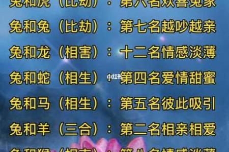 男羊和女鸡是否是理想的婚姻伴侣