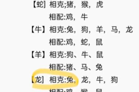 生肖女兔与男蛇配对优劣对比