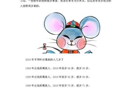 今年鼠年命运解析与属鼠人的运势趋势