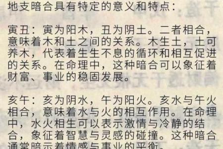揭示福寿无量之命的奥秘：长寿与命运的奇妙联系