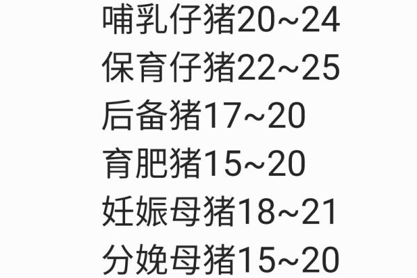 本命年猪女的情感升温小贴士
