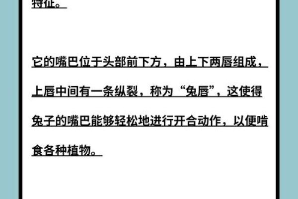 牛兔配对：探索两者的相容性与关系揭秘