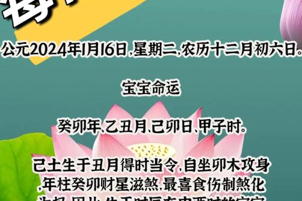 生肖鼠猴相配的可能性分析 如何评估两者的缘分