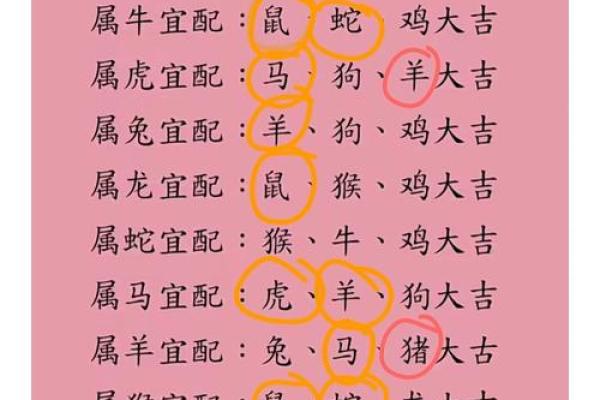 探讨男鼠女马是否是天作之合