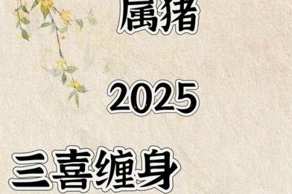 属猪人的本命年是什么意义