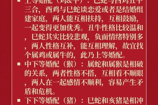牛与蛇的配对：生肖组合的相生相克分析