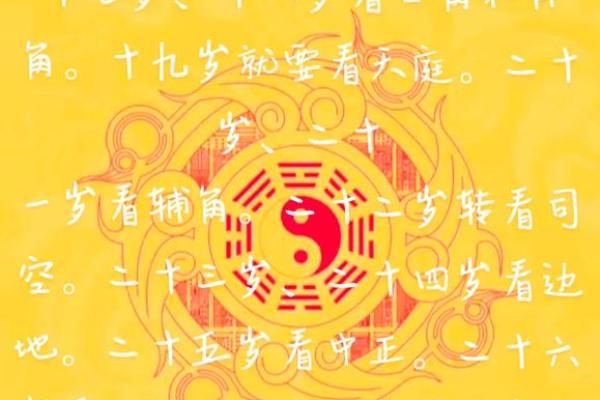 解读出生者的命运与运势