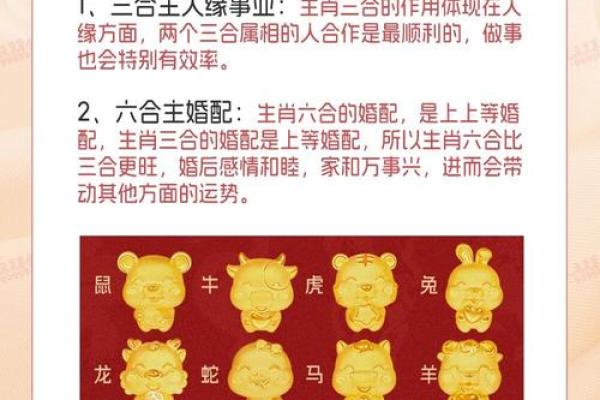 龙和羊配吗？探究生肖间的相合与相冲关系