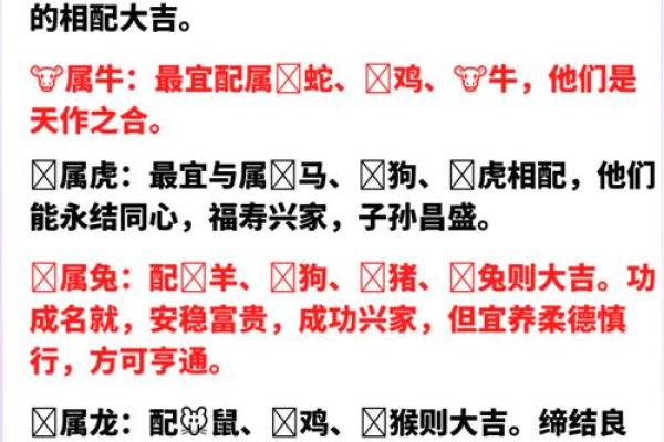 属相配对探讨：老鼠与蛇能否和谐相处