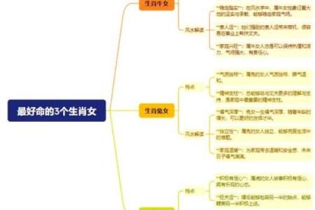 属龙女性如何通过本命年增进家庭关系