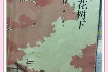 樱花下的故事：寻找名字背后的意义