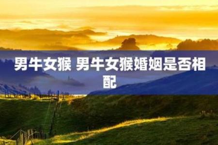 生肖鼠猴相配的可能性分析 如何评估两者的缘分