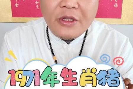 本命年猪男情感运势变动大吗