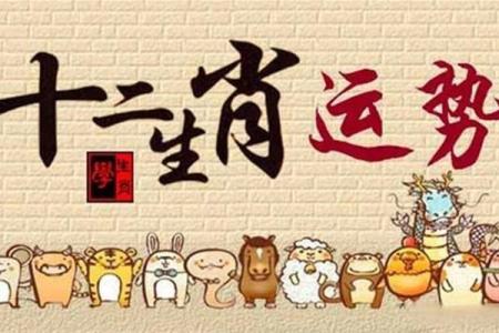 属鼠人本命年如何突破内心障碍