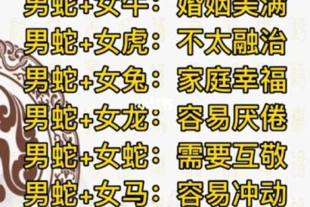 属猴女和属蛇男的婚姻关系如何
