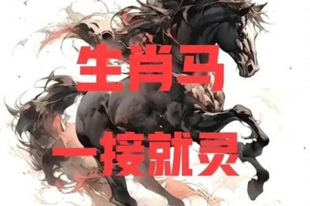 本命年马男的理想伴侣类型