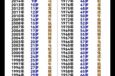 农历算命免费测运势，生辰八字给你精准指导