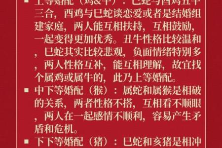 牛与蛇的配对：生肖组合的相生相克分析