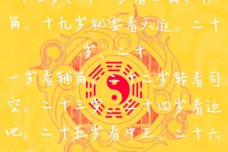 解读出生者的命运与运势