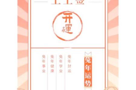 本命年兔男的财运走向