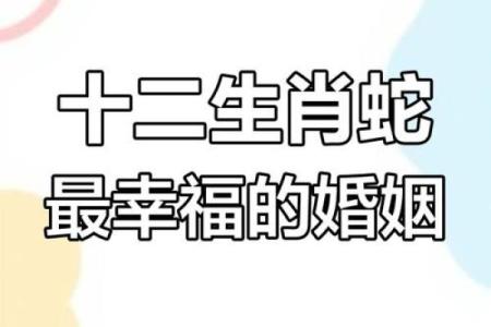 马与蛇的婚姻配对是否和谐
