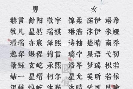 如何为小仙女挑选寓意深刻的名字