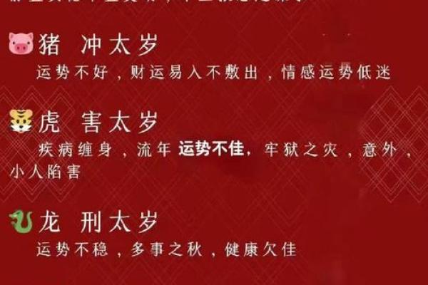 属蛇人本命年如何提升个人魅力