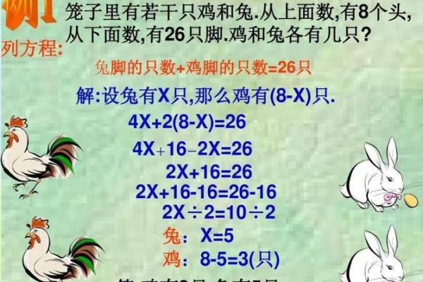 属兔和属鸡相配吗？深入剖析两者的缘分与挑战