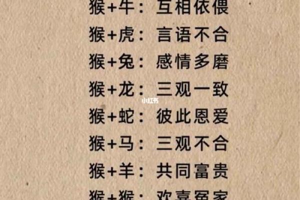 揭秘生肖相配是否有科学依据