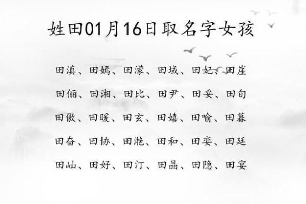 田姓女孩名字的文化内涵与传承价值