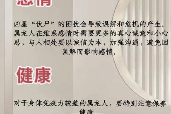 本命年属龙人如何安定家庭生活