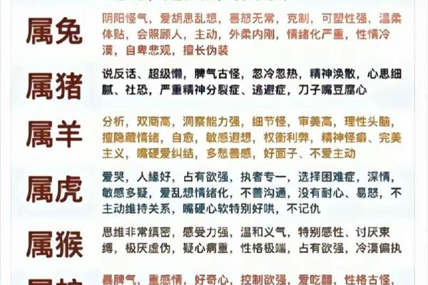 本命年属龙人如何安定家庭生活