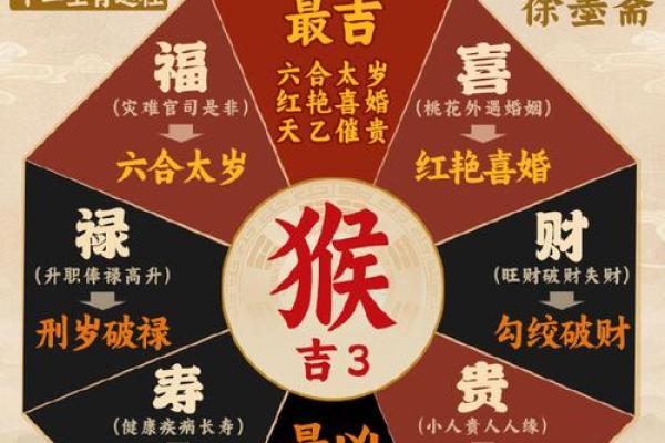 本命年属猴的职场生涯提升秘诀