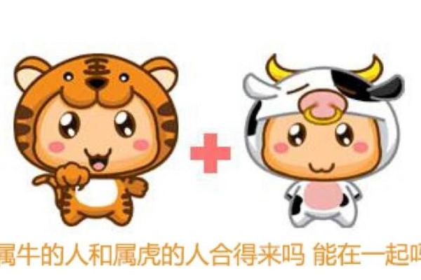 男牛和女牛配对的性别差异对养殖的影响