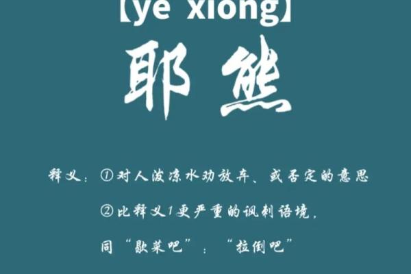 熊名字大全：最受欢迎的熊类名字推荐