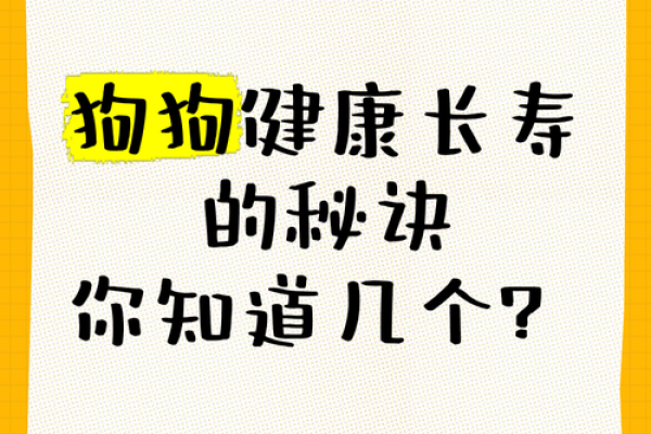 你知道吗？狗狗的生辰八字竟能影响它们的健康和运势！