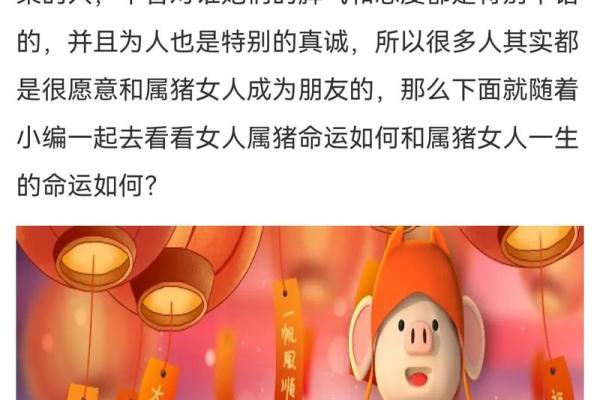 属猪与属牛的配对运势 如何增进彼此的幸福