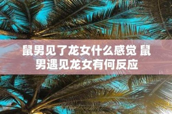 探讨龙女鼠男的相配度与婚姻幸福指数