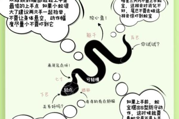 蛇之间的配对分析 它们是否能够长期相处